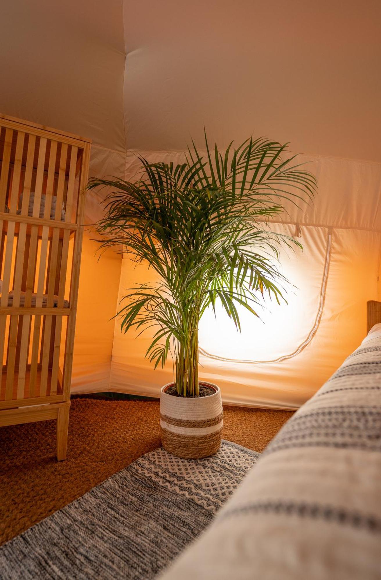 Glamping Gozdna Jasa Hotel Bovec Exterior foto