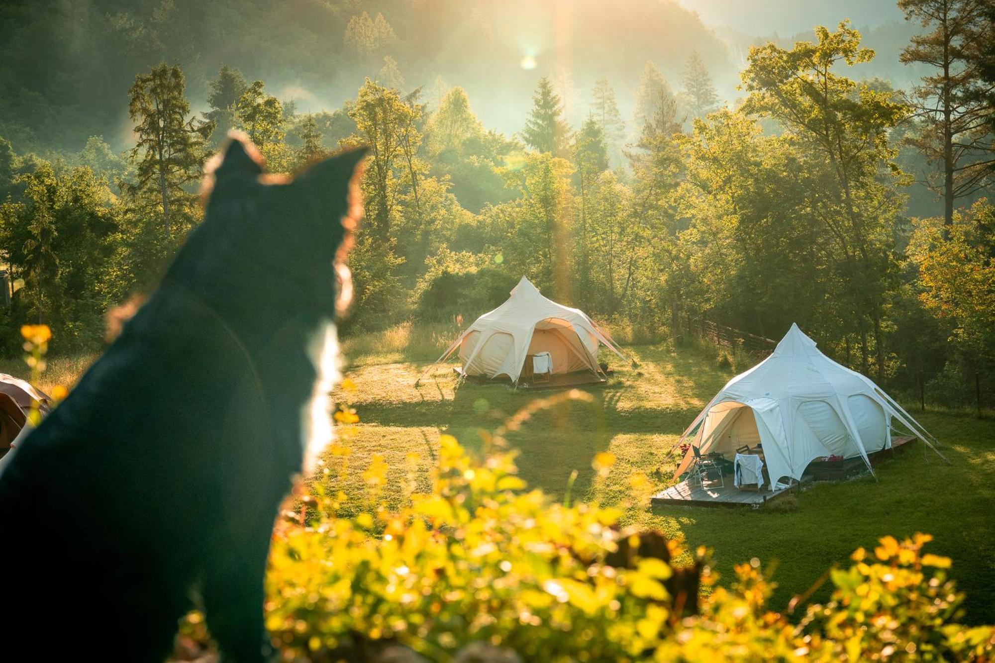 Glamping Gozdna Jasa Hotel Bovec Exterior foto